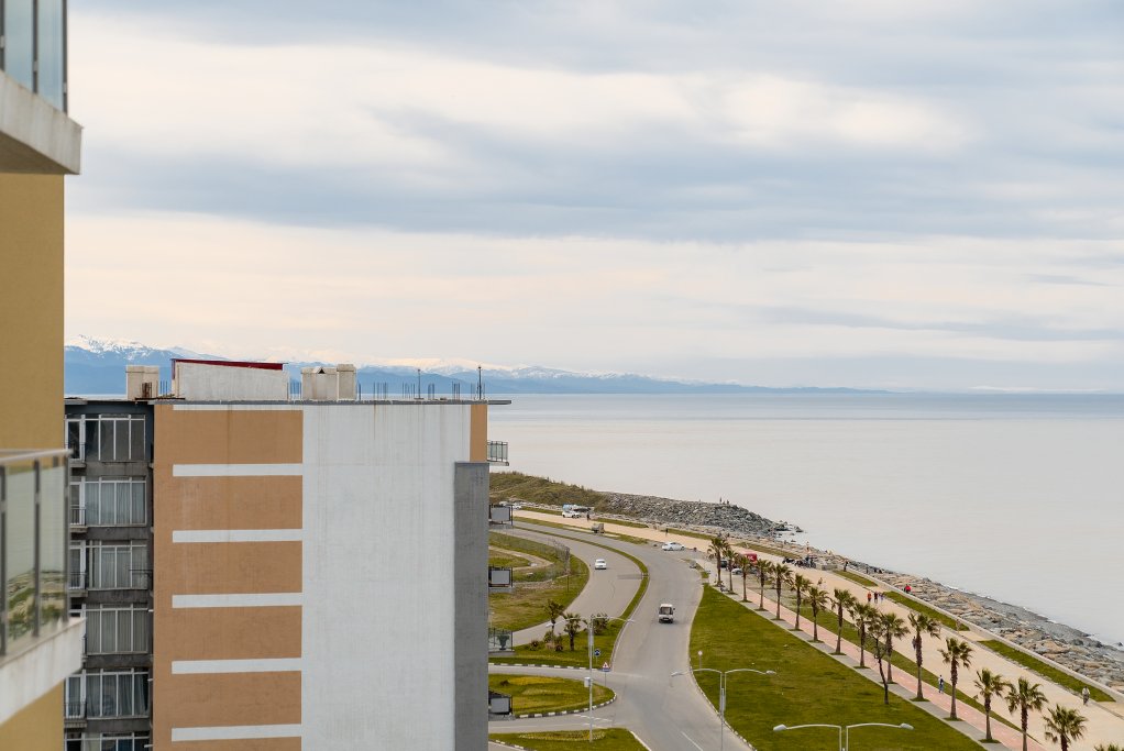 Bright and spacious 1-bedroom apartment near the sea id-1040 - Batumi Vacation Rentals