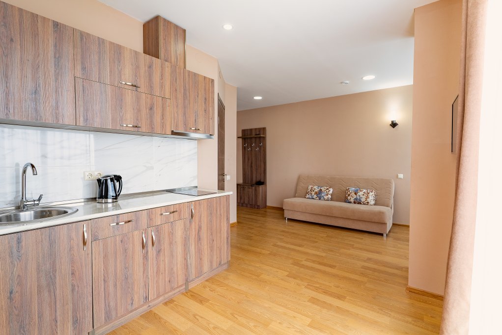 Bright and spacious 1-bedroom apartment near the sea id-1040 - Batumi Vacation Rentals
