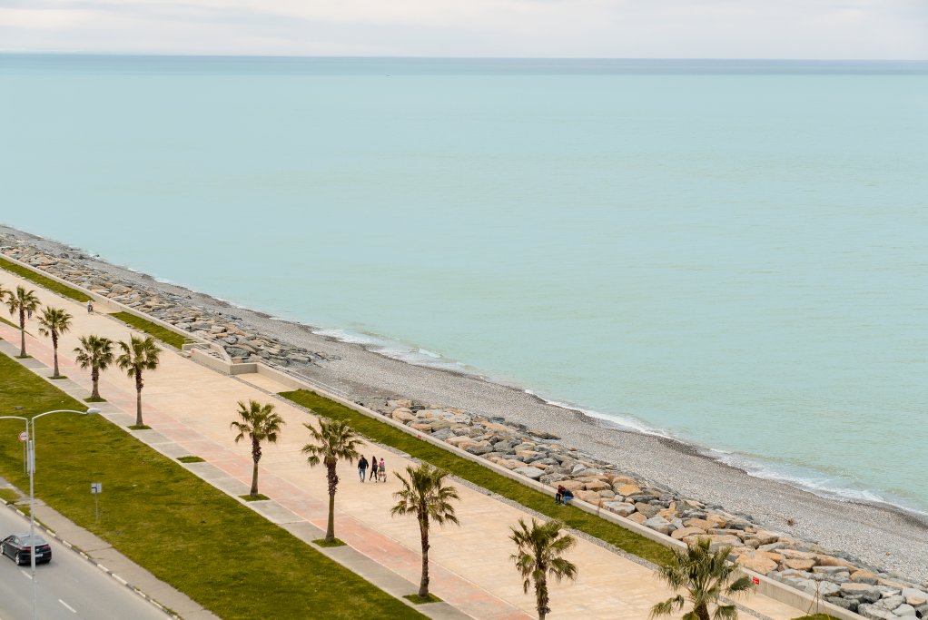 Bright and spacious 1-bedroom apartment near the sea id-1040 - Batumi Vacation Rentals