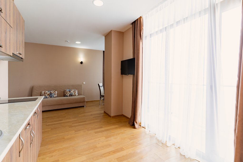 Bright and spacious 1-bedroom apartment near the sea id-1040 - Batumi Vacation Rentals