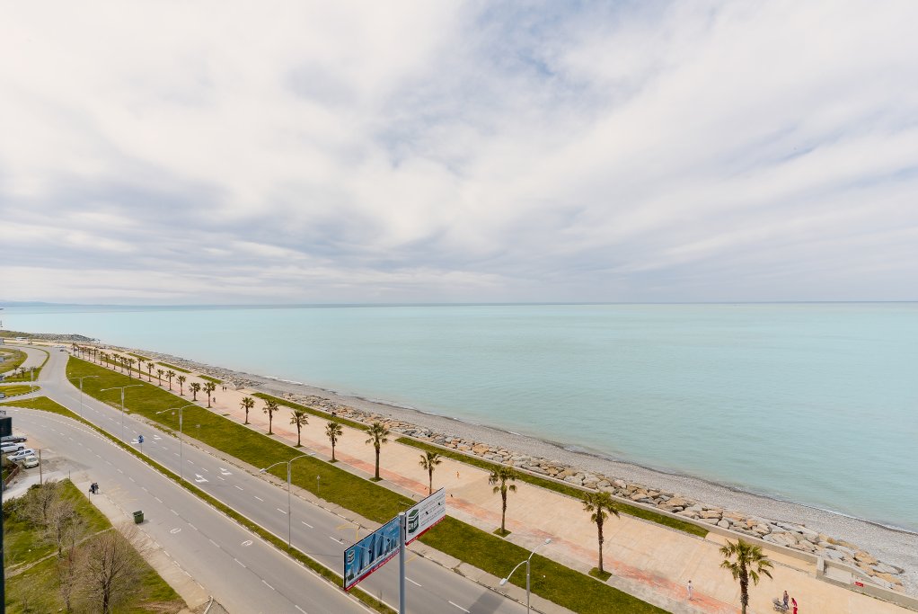 Bright and spacious 1-bedroom apartment near the sea id-1040 - Batumi Vacation Rentals