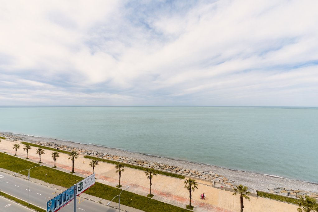 Bright and spacious 1-bedroom apartment near the sea id-1040 - Batumi Vacation Rentals