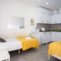 Studio apartment New Time #215