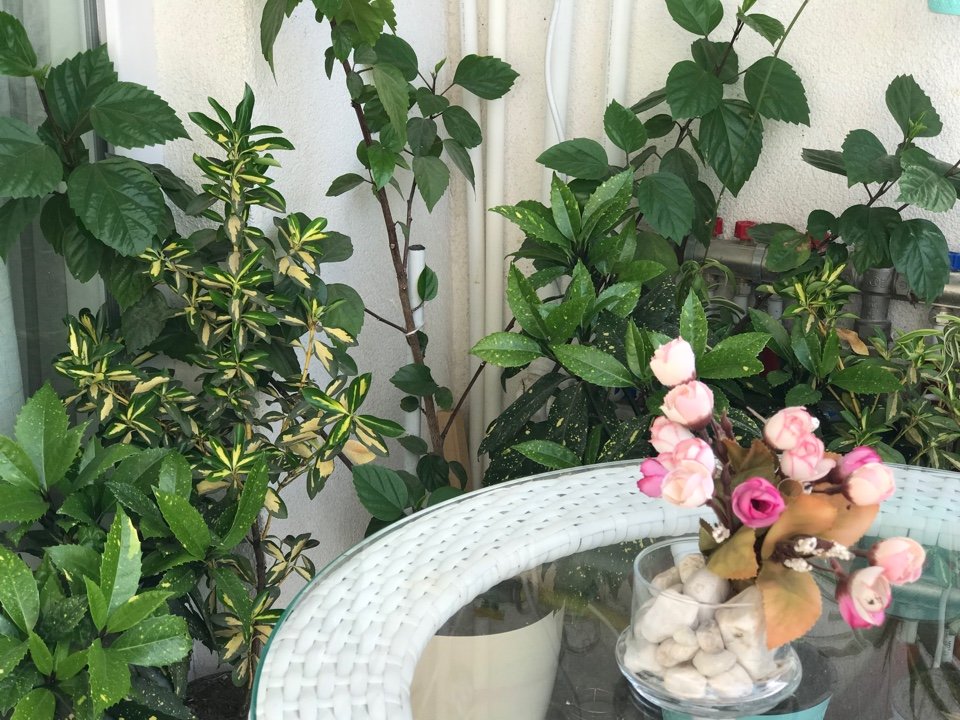 Flat near the sea id-845 - Batumi Vacation Rentals