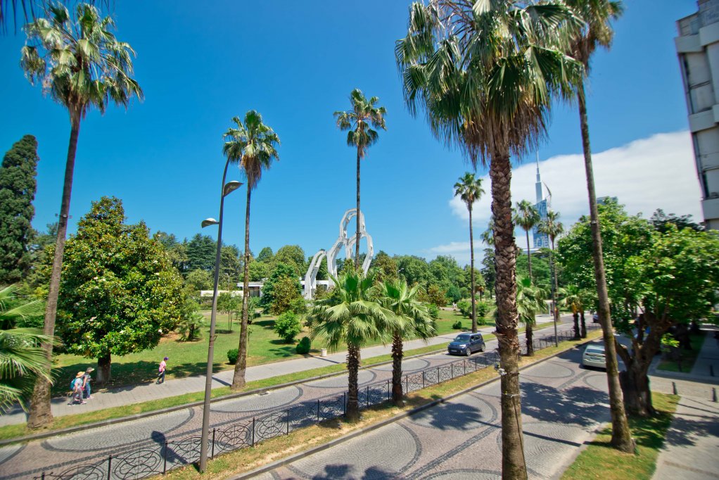 Comfortable apartments in centre of Batumi id-900 - Batumi Vacation Rentals