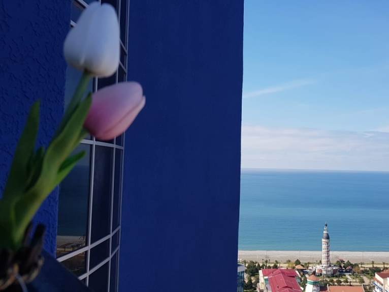 Комфортные апартаменты рядом с морем id-924 - аренда апартаментов в Батуми
